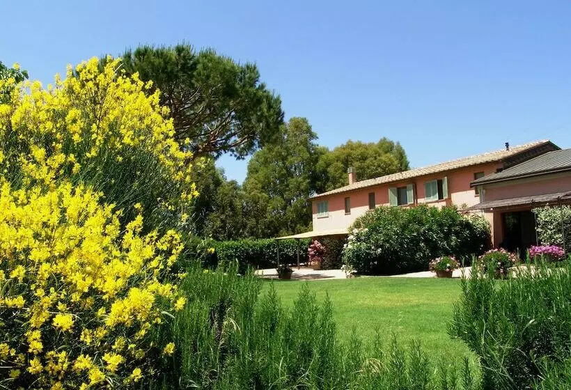 Hotelli Agriturismo Fattoria Il Casalone