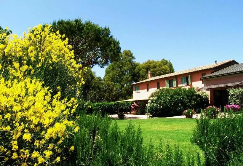 Hotelli Agriturismo Fattoria Il Casalone