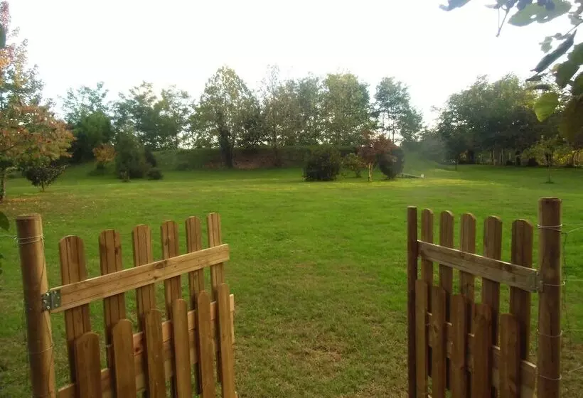 ホテル Agriturismo Il Podere Vedelago With Alpaca, Friends And More