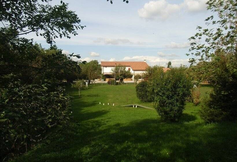 Отель Agriturismo Il Podere Vedelago With Alpaca, Friends And More