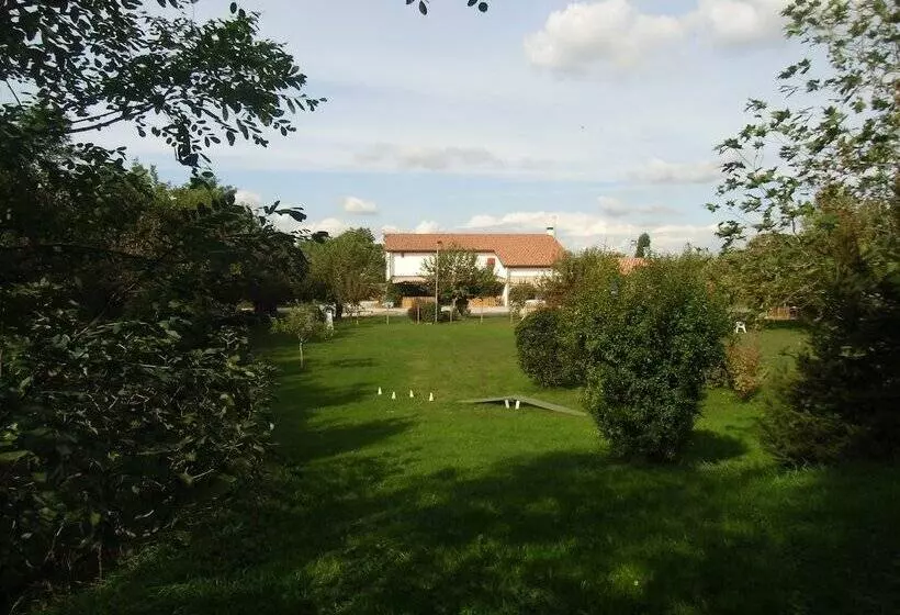 ホテル Agriturismo Il Podere Vedelago With Alpaca, Friends And More