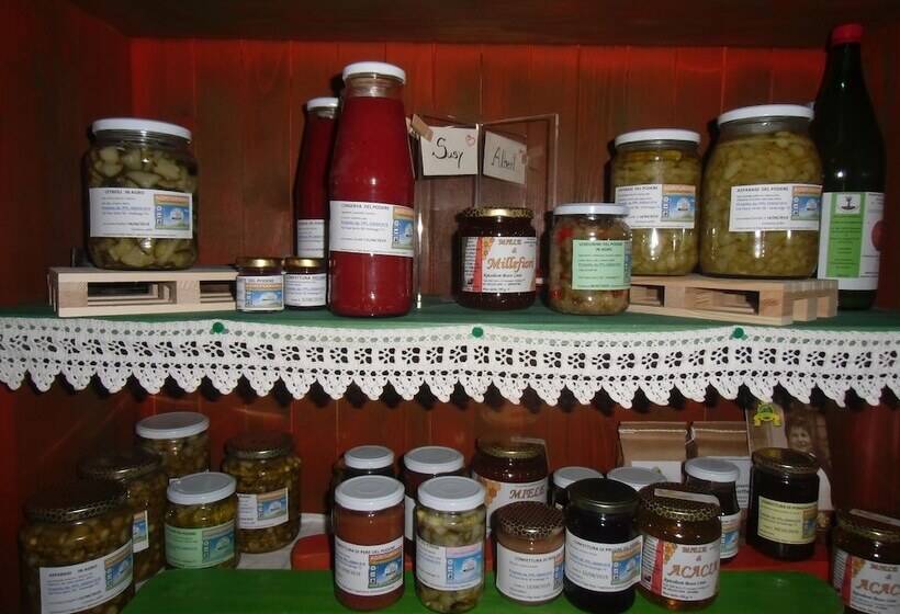 Отель Agriturismo Il Podere Vedelago With Alpaca, Friends And More