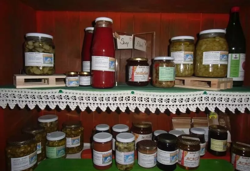 ホテル Agriturismo Il Podere Vedelago With Alpaca, Friends And More