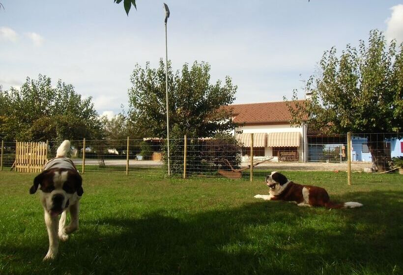 Отель Agriturismo Il Podere Vedelago With Alpaca, Friends And More