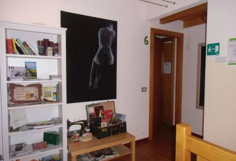 ホテル Agriturismo Il Podere Vedelago With Alpaca, Friends And More