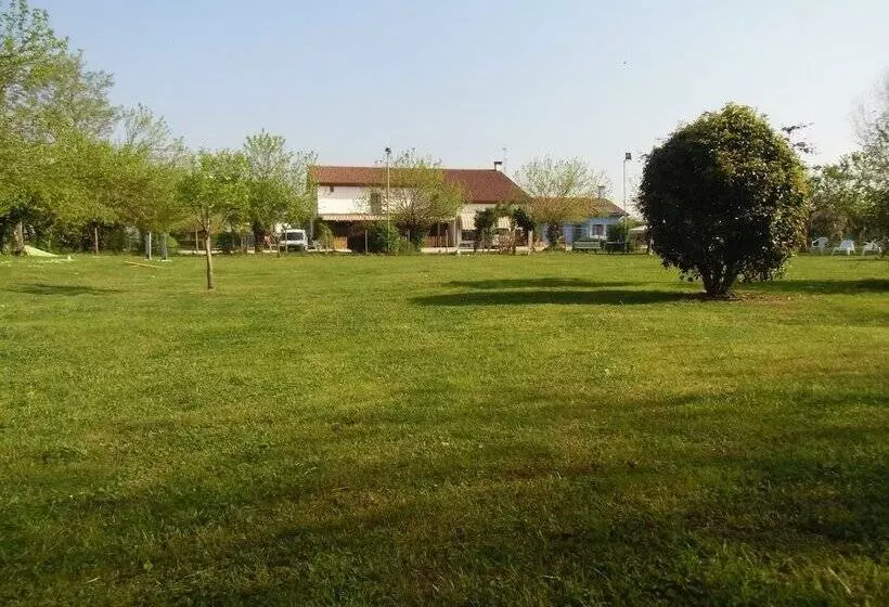 ホテル Agriturismo Il Podere Vedelago With Alpaca, Friends And More