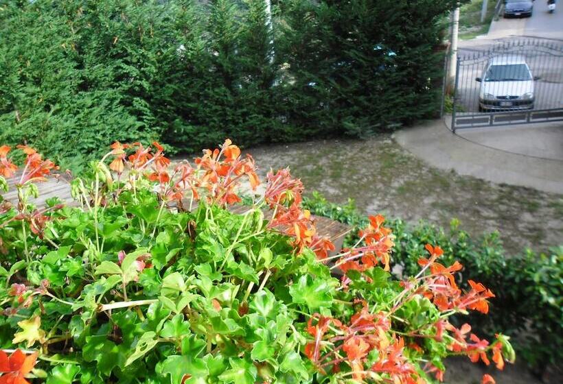 Bed and Breakfast Casale Del Borgo