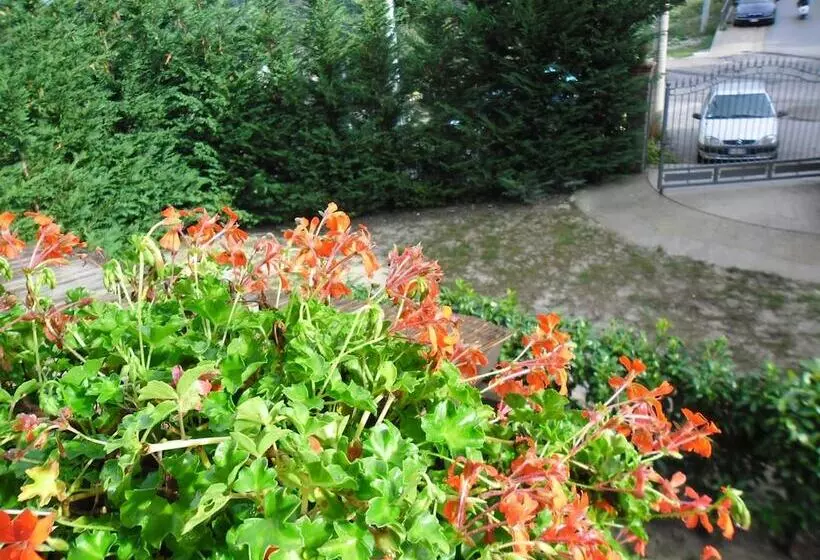 Aamiaismajoitus (B&B) Casale Del Borgo