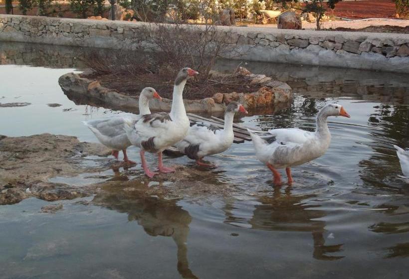 호텔 Agriturismo Zio Zac