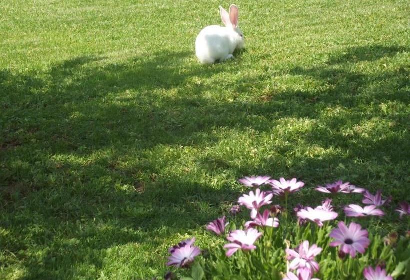 호텔 Agriturismo Zio Zac