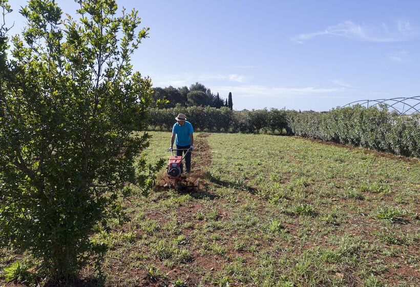 فندق Podere40 Country