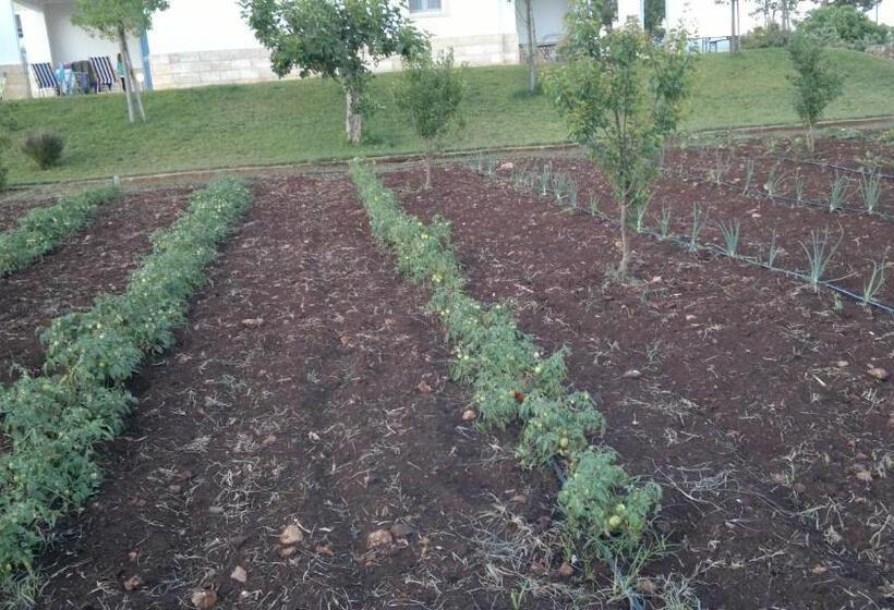 فندق Podere40 Country