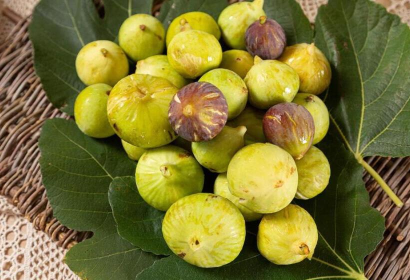 فندق Podere40 Country