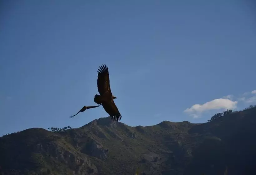 Vuelle Residence Apartments