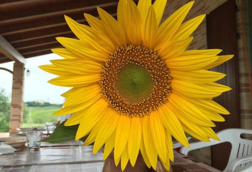 酒店 Agriturismo Bio Verde Armonia