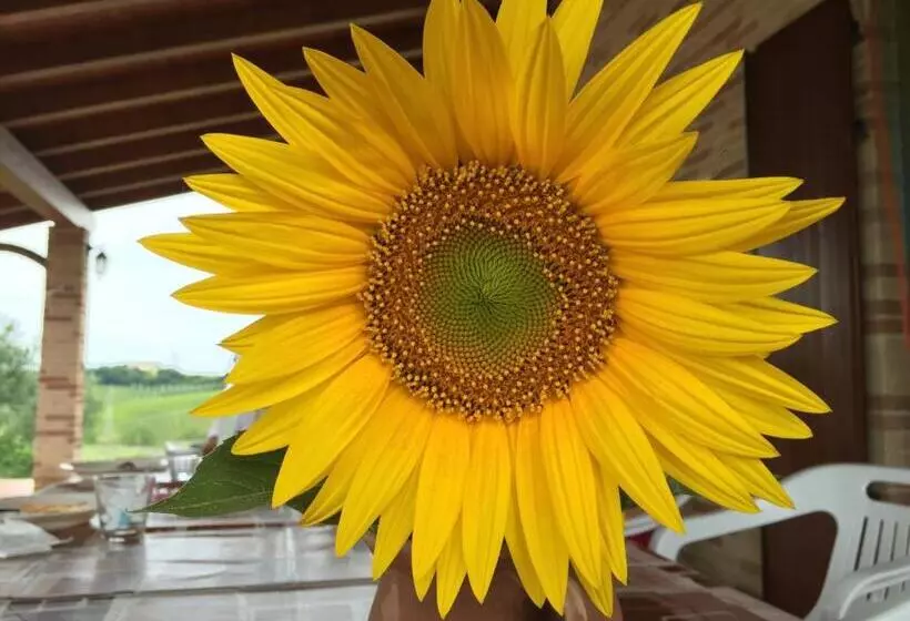 ホテル Agriturismo Bio Verde Armonia