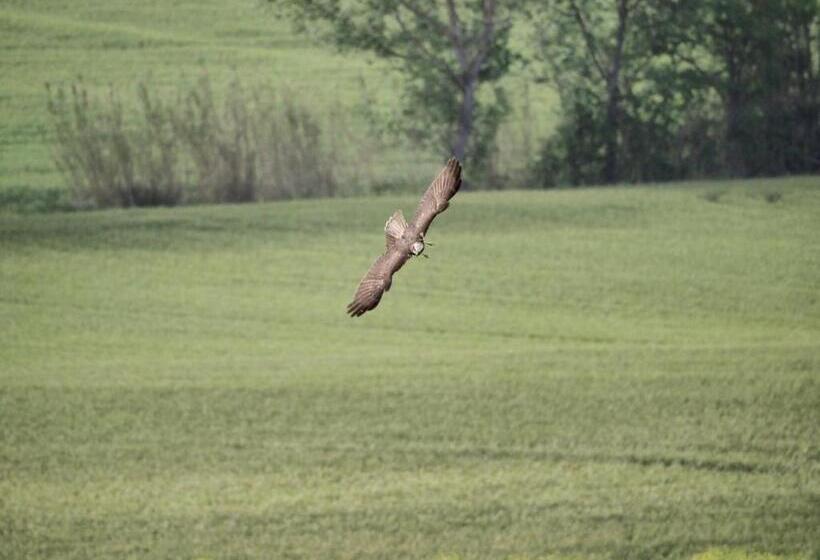 酒店 Agriturismo Bio Verde Armonia