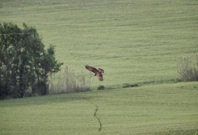 酒店 Agriturismo Bio Verde Armonia