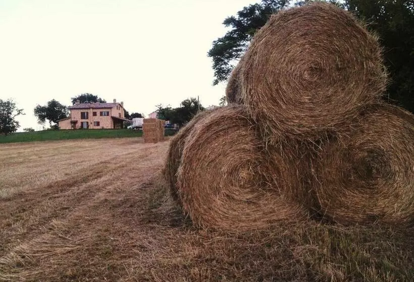 ホテル Agriturismo Bio Verde Armonia
