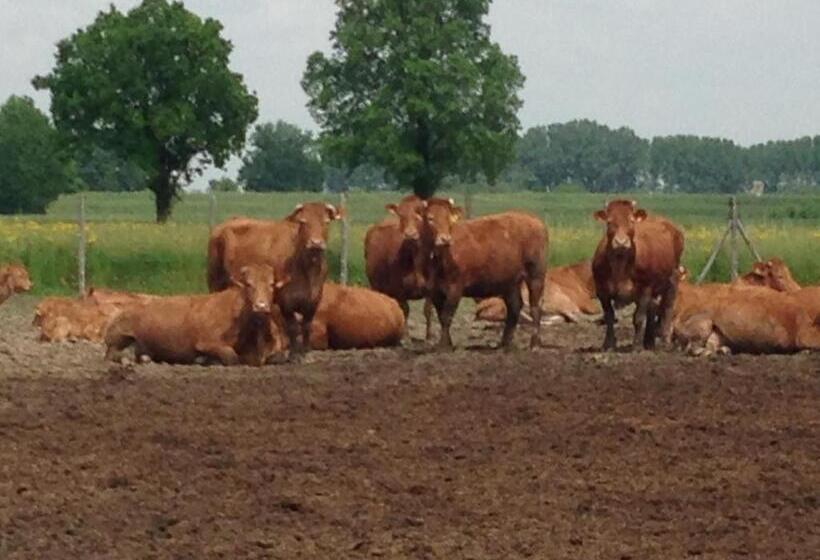 ホテル Agriturismo Da Luca