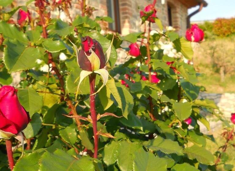 فندق Agriturismo Valiana