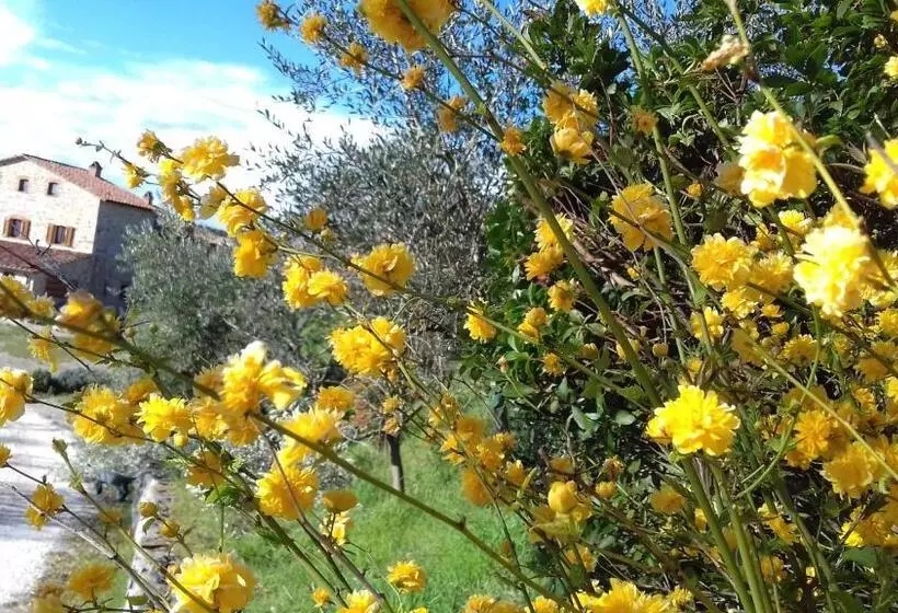 ホテル Agriturismo Valiana