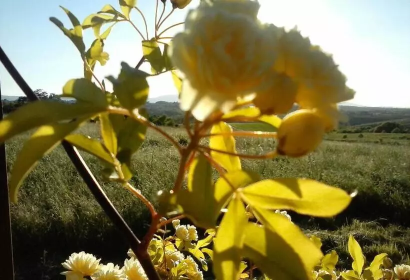 ホテル Agriturismo Valiana