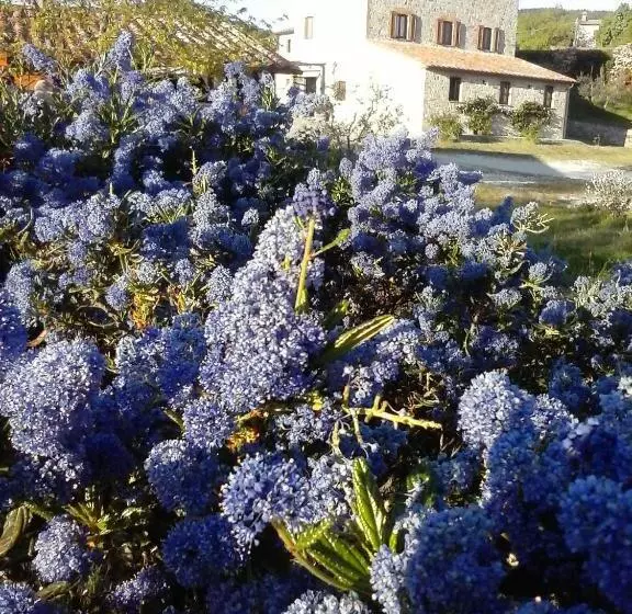 ホテル Agriturismo Valiana