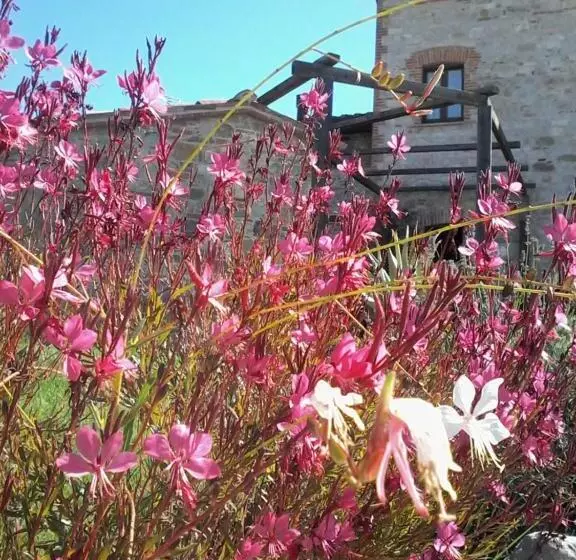 ホテル Agriturismo Valiana