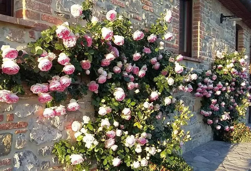 ホテル Agriturismo Valiana