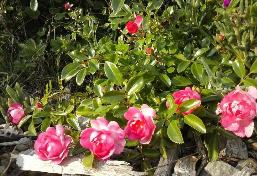 فندق Agriturismo Valiana