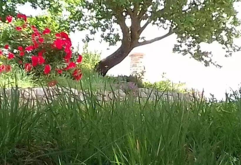 ホテル Agriturismo Valiana