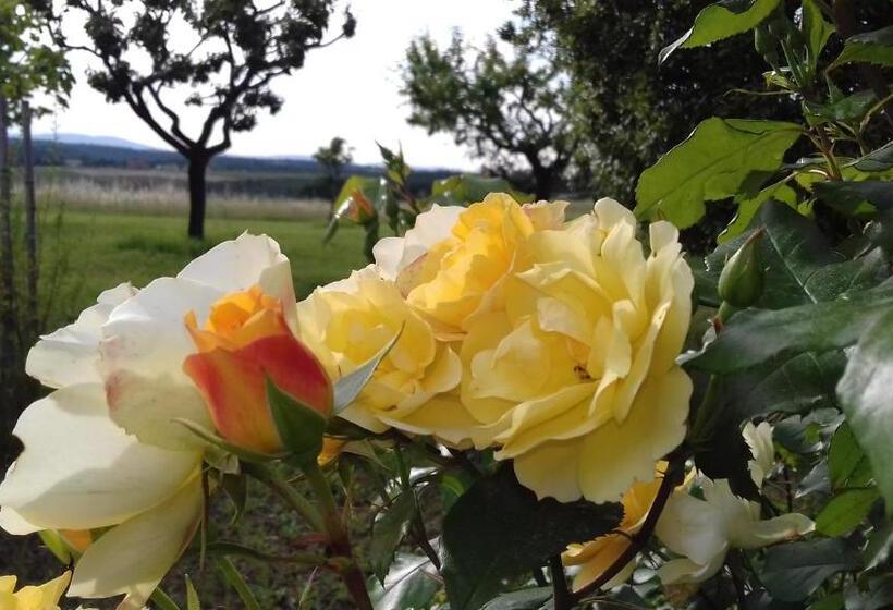 فندق Agriturismo Valiana