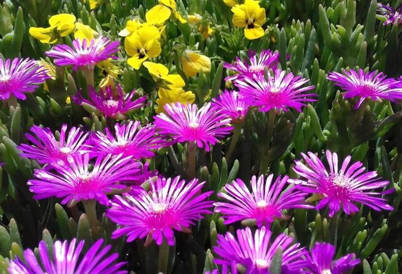 فندق Agriturismo Valiana