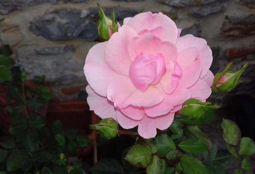 فندق Agriturismo Valiana