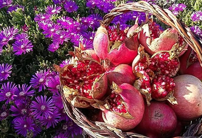 فندق Agriturismo Valiana