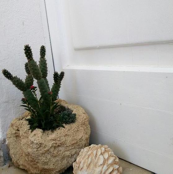 بنسيون Casa Vacanze Tevere