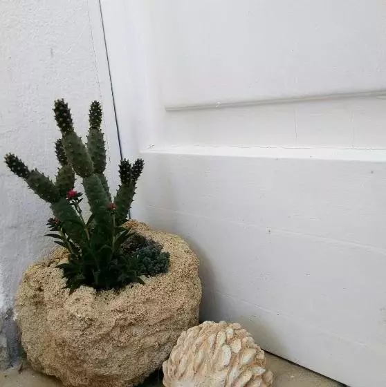 ペンション Casa Vacanze Tevere