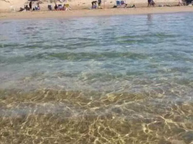 ペンション B&b Perla Di Corso Savoia