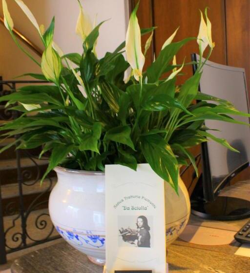 הוסטל Locanda Piemonte Da Sciolla