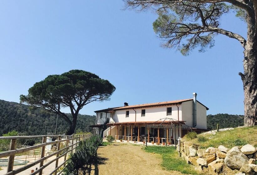 Отель Agriturismo La Mignola