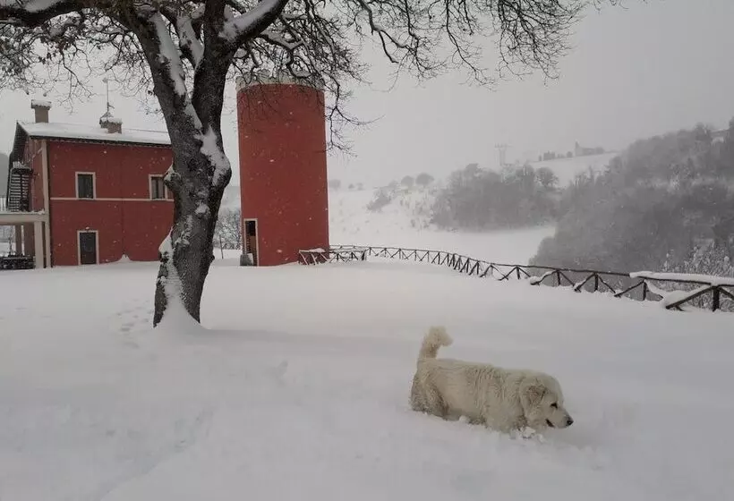 ホテル Agriturismo La Vita è Bella
