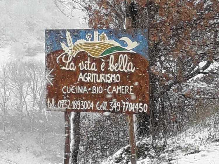 בית מלון כפרי Agriturismo La Vita è Bella