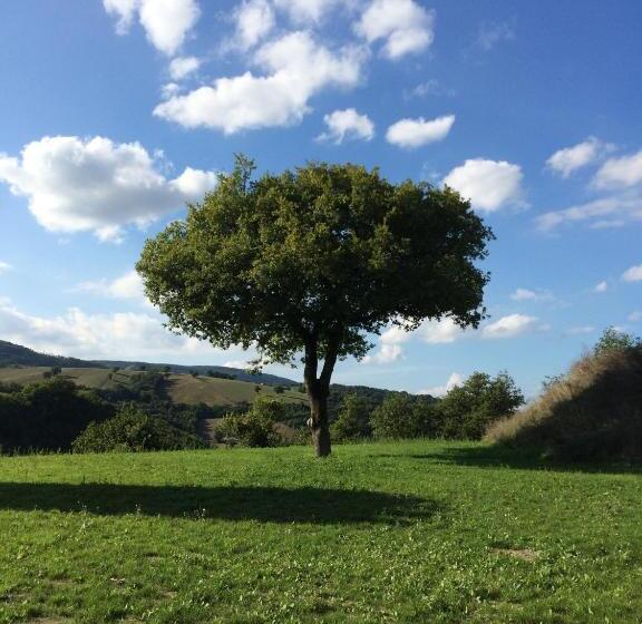 בית מלון כפרי Agriturismo La Vita è Bella