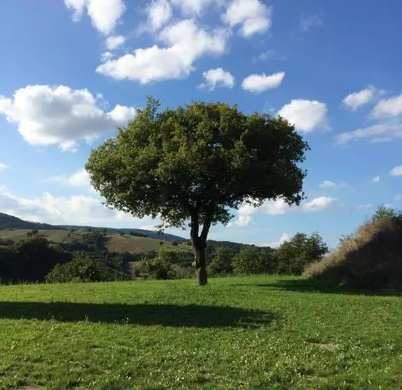 ホテル Agriturismo La Vita è Bella