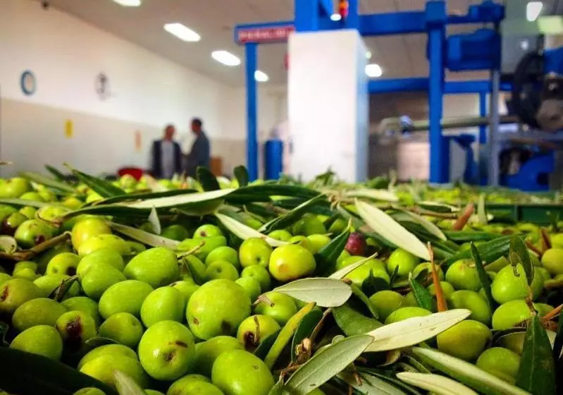 Pensió Affittacamere Indios