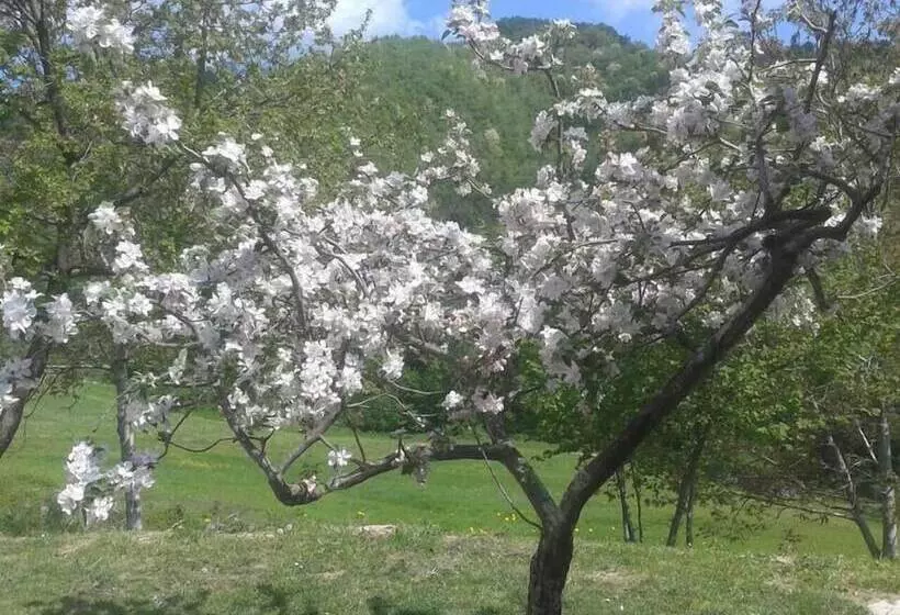 Majatalo Brisighella Green Wellness