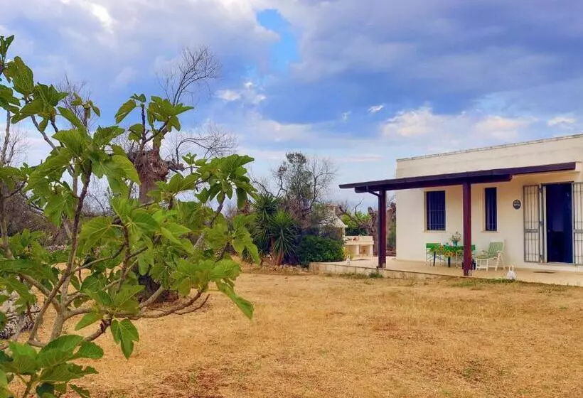 Majatalo Casa Barzò   Surrounded By Olive Trees
