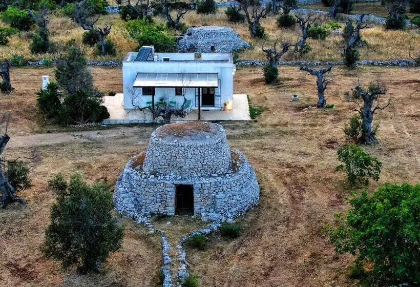 Majatalo Casa Barzò   Surrounded By Olive Trees