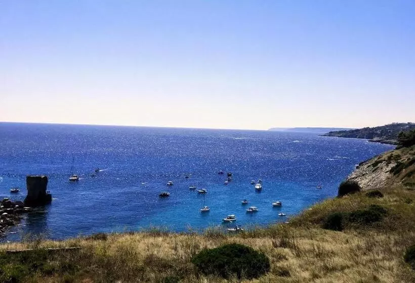 Majatalo Casa Barzò   Surrounded By Olive Trees